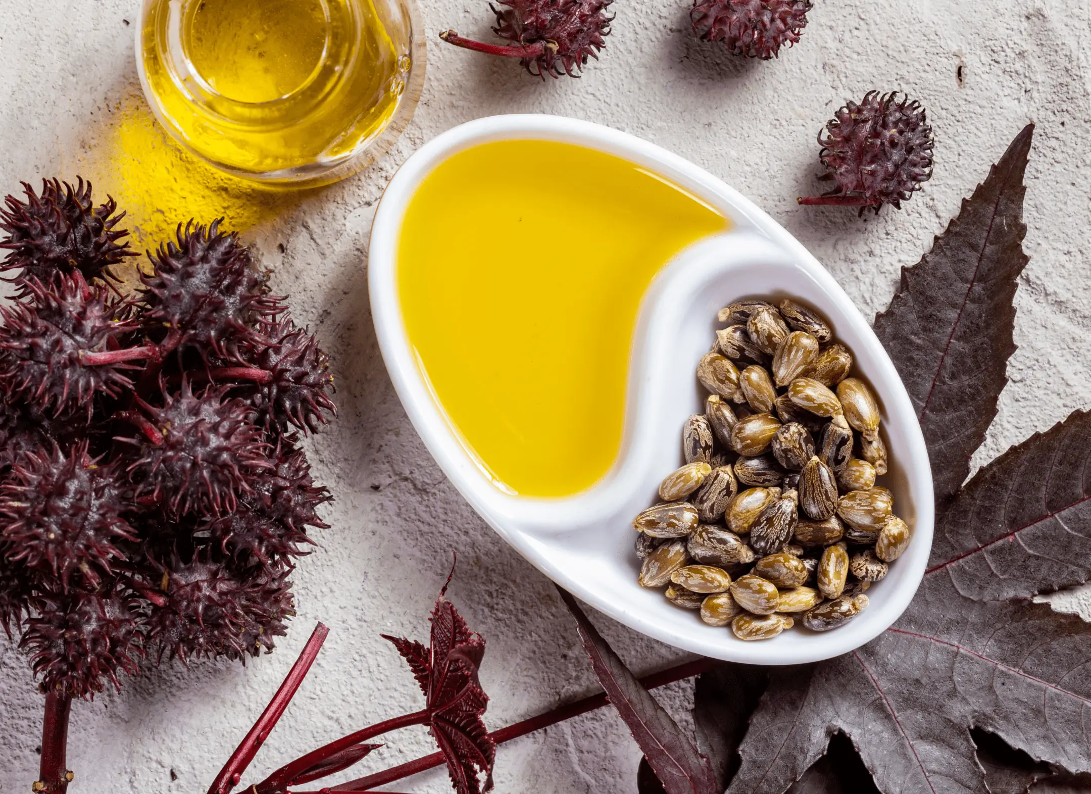 Lavender Oil